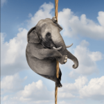 elephant holding rope clouds
