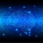 brain circuits in data